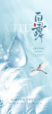 白露节气宣传海报图片素材下载