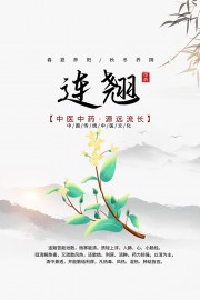 传统中医药连翘药理知识海报