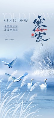传统二十四节气寒露海报