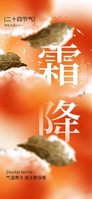 中国传统节气霜降广告