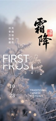 二十四节气霜降海报