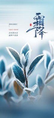 蓝色二十四节气霜降广告