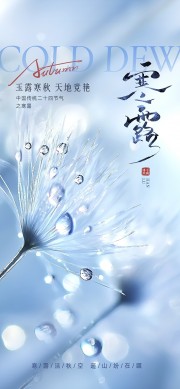 中国传统节气寒露广告
