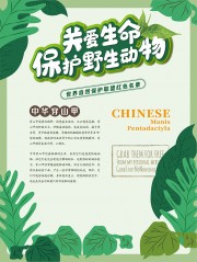 关爱生命保护野生动物海报