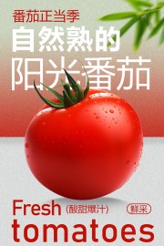 酸甜爆汁阳光番茄新鲜水果海报