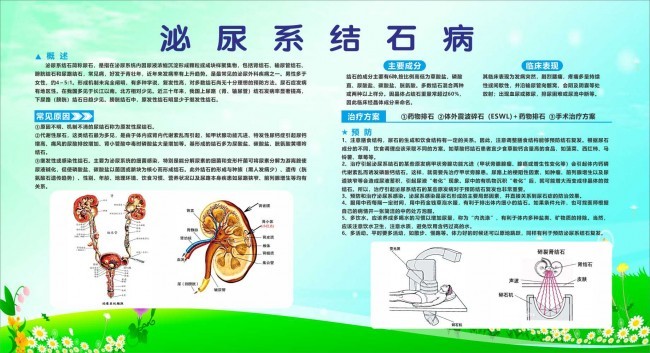 泌尿系統結石病健康科普宣傳欄圖片