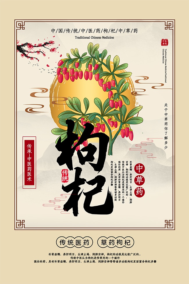 枸杞中医文化宣传图片下载