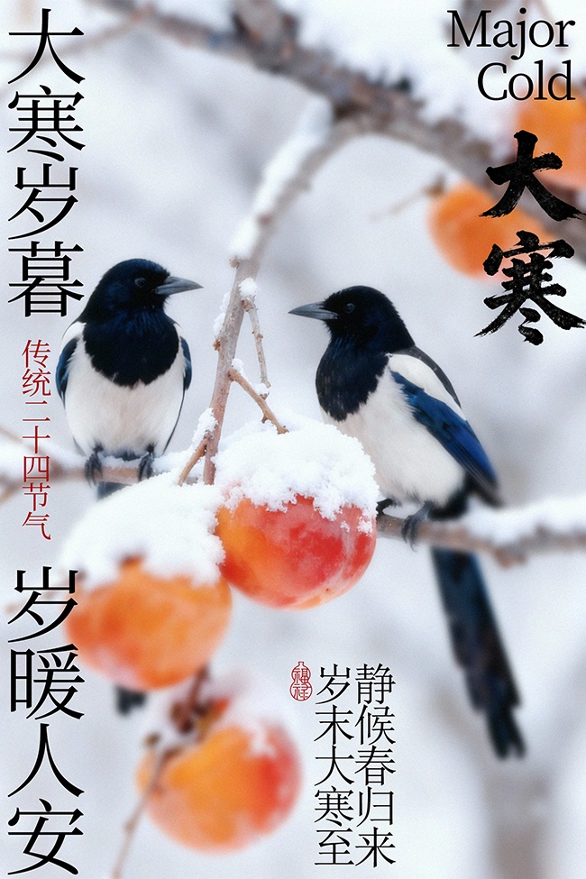 大寒岁暮双鹊伴秋柿传统节气海报