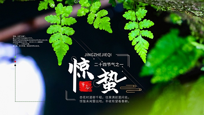 惊蛰二十四节气海报图片素材