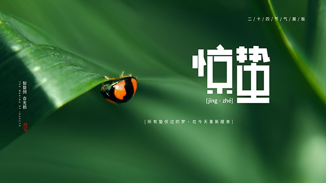 惊蛰节气海报图片素材