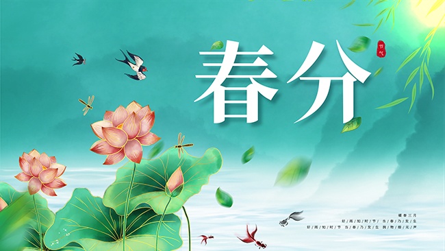简约春分24节气展板