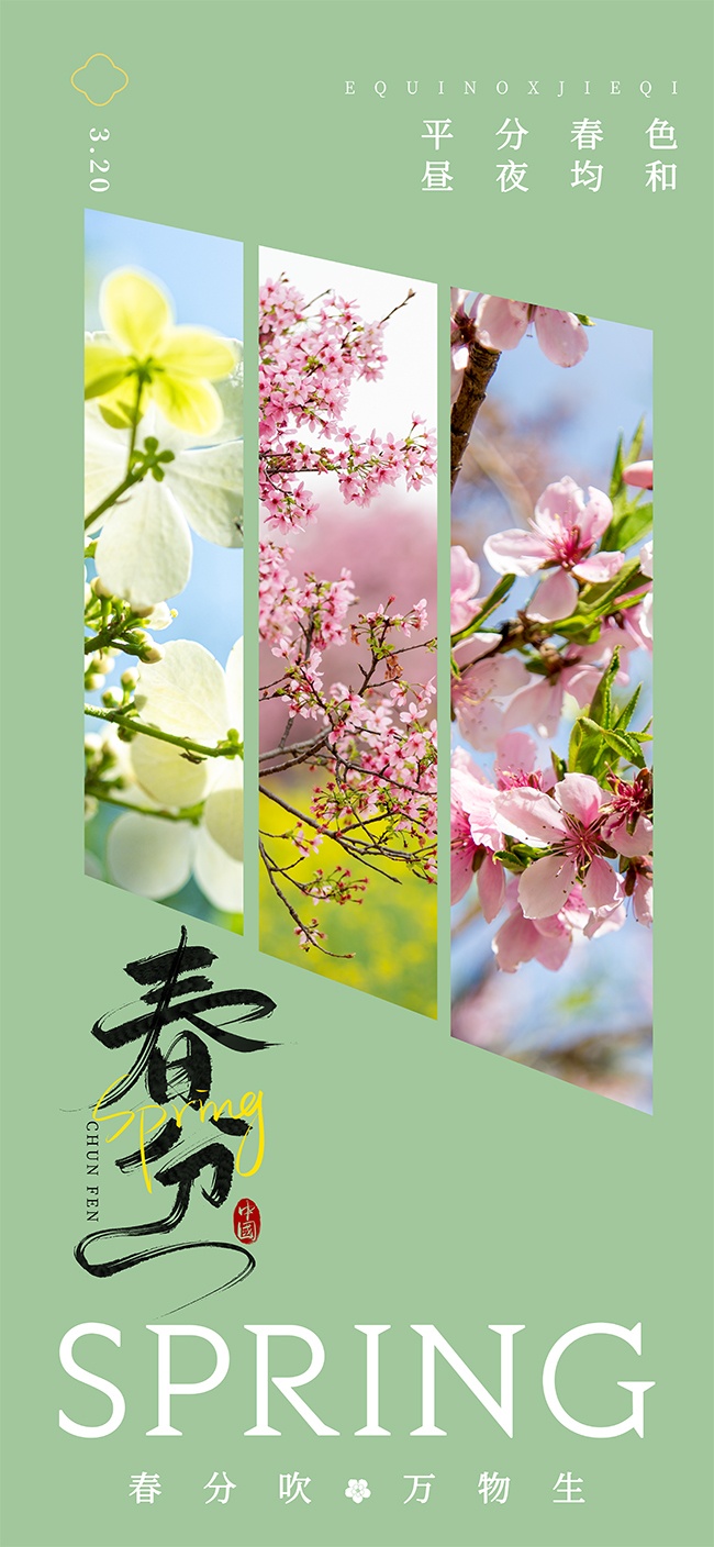 绿色小清新春分节气海报