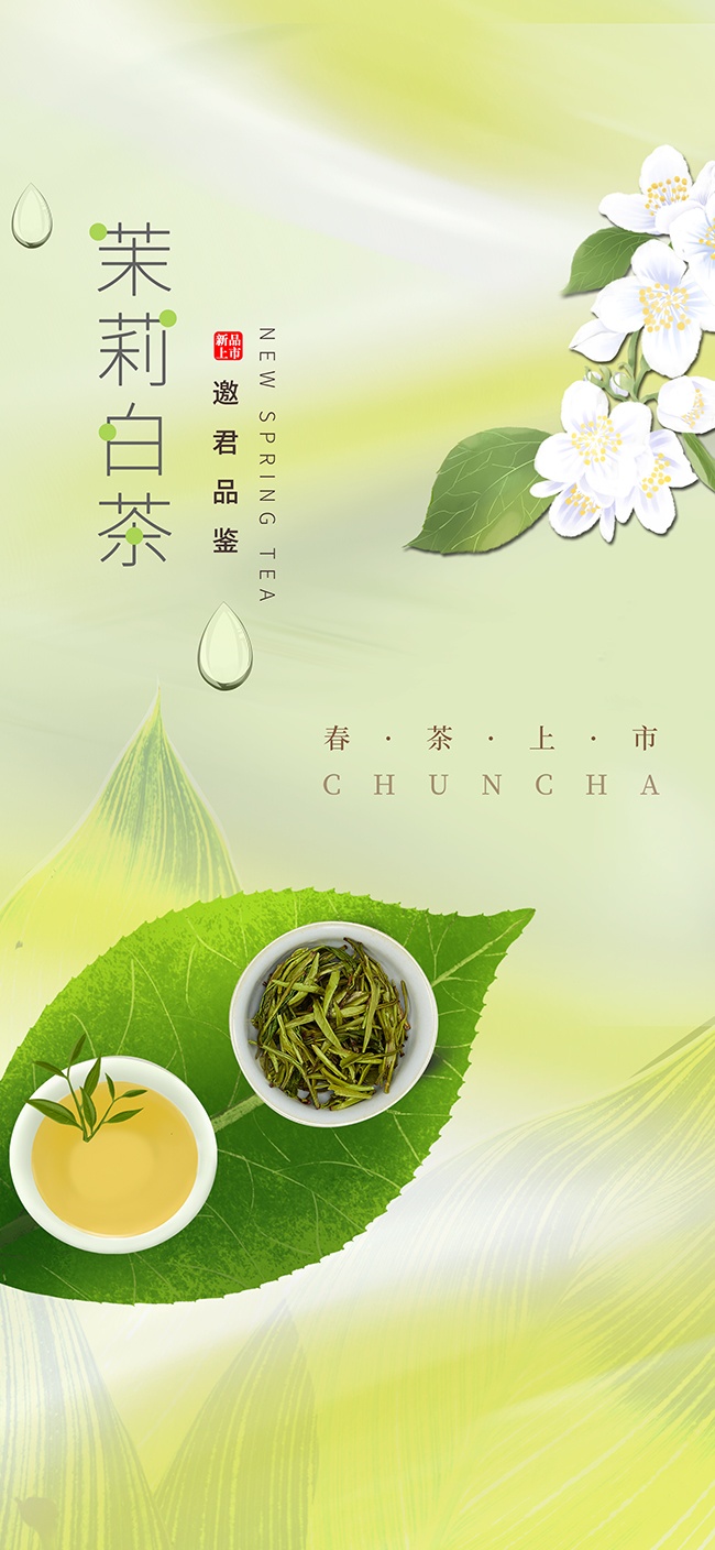 茉莉白茶春茶海报图片下载