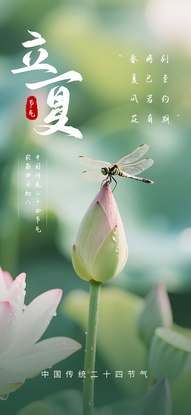�ɻ���Ҷ�������Ľ����������