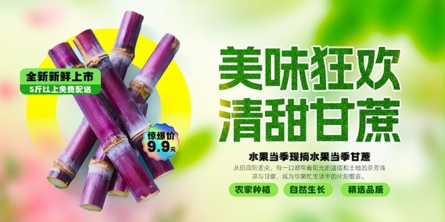 甘蔗海报图片素材下载