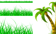 椰树与绿草