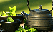 绿氏茶壶与绿茶
